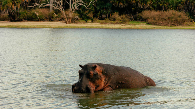 Best Time To Visit Matusadona